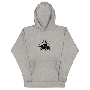 Unisex Hoodie - The Sunshine State Store