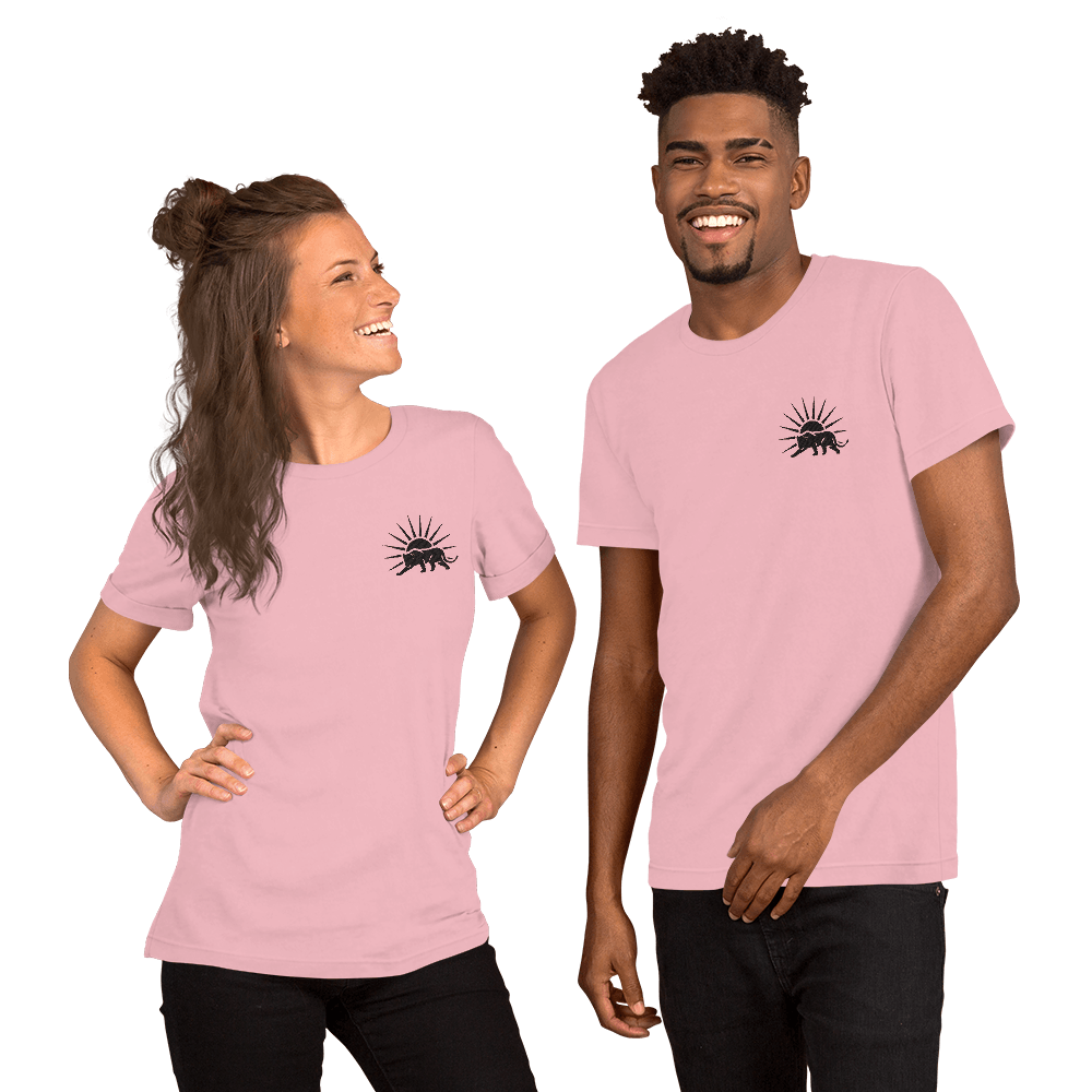 Unisex Minimalist T-Shirt - The Sunshine State Store