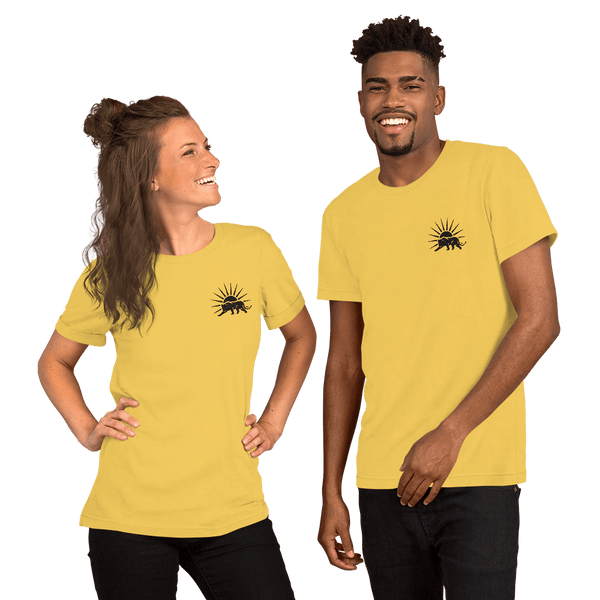 Unisex Minimalist T-Shirt - The Sunshine State Store